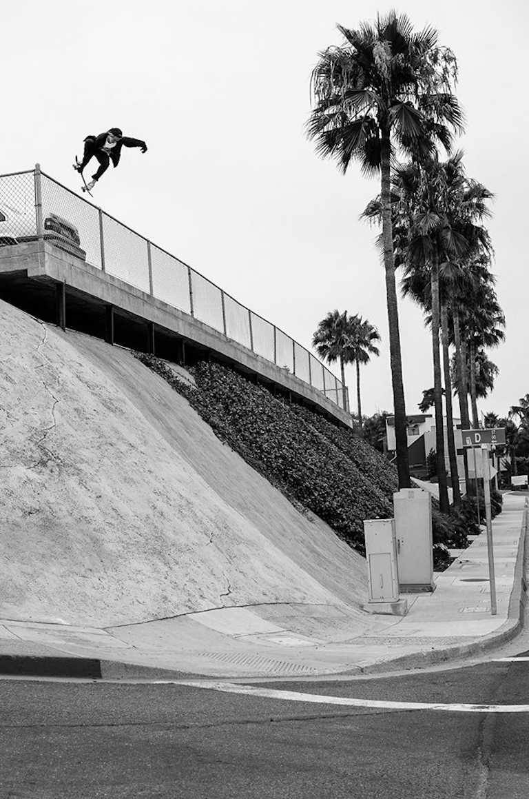 Marc D L Skateboarder Drop In Palm Trees Photography