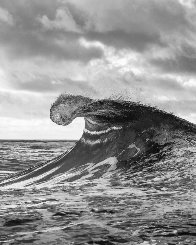 Marc D L Wave Break Swell